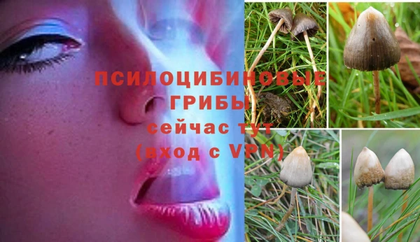 каннабис Горняк