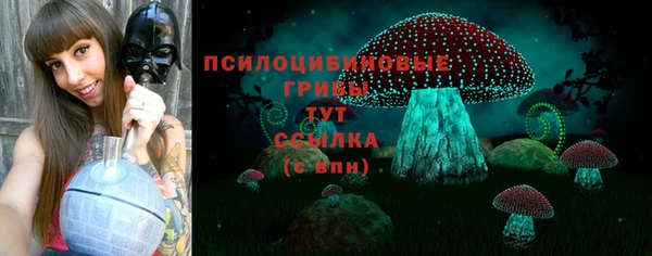 меф Горнозаводск