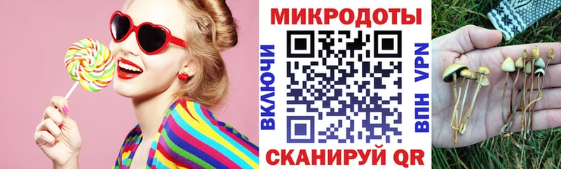 Псилоцибиновые грибы Cubensis  Купить  Ковдор 
