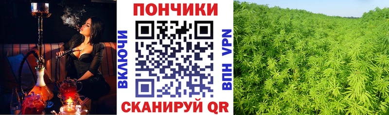 Купить  Ковдор  Марихуана MAZAR 
