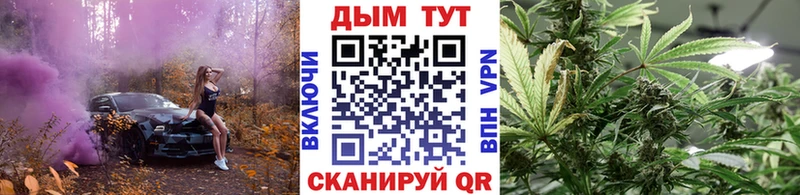 Марихуана сатива Ковдор